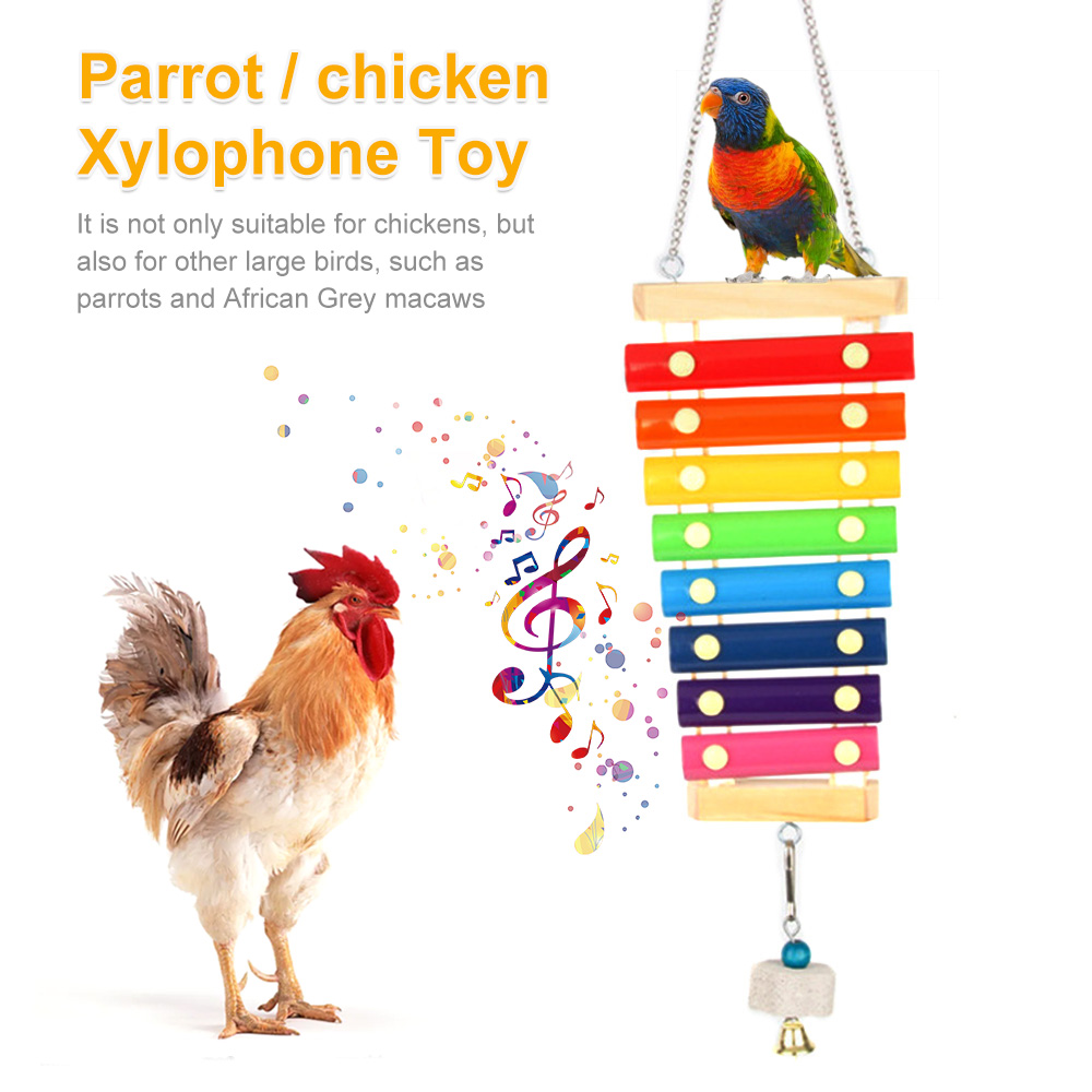 Mainan burung ayam xylofon kay - Musical Instrument Harmonium ulasan dan harga