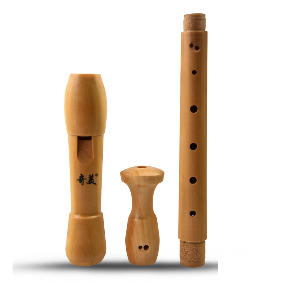 Qimei 8 Lubang Perekam Alto Al - Musical Instrument German ulasan dan harga